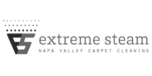 B&W image of Extreme Steam Carpet Cleaning's logo.